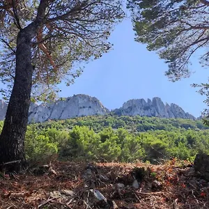  Appartement Au Mas Des Glycines - La Tropezienne - 5 Personnes France